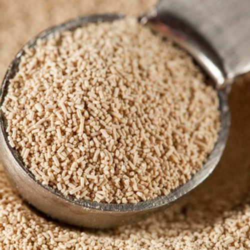 Active Dry Yeast